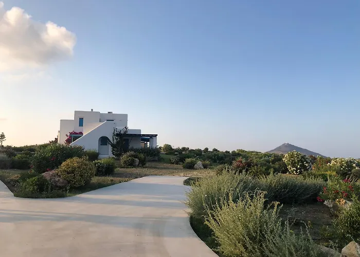 Eliza&mike's Paros Logaras